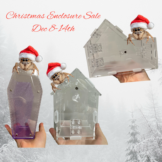 Christmas Coffin Enclosure Sale!!!